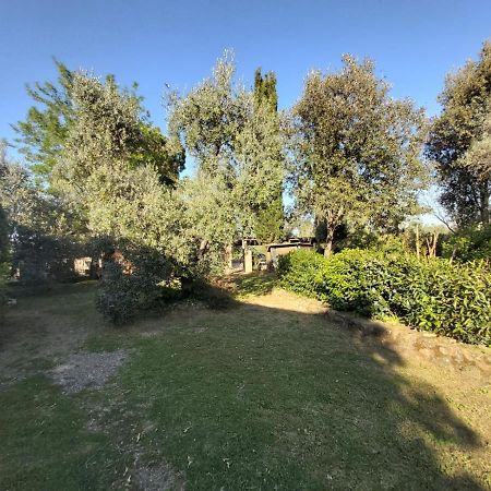 Tenuta Santa Maria Villa Campagnatico Exteriör bild