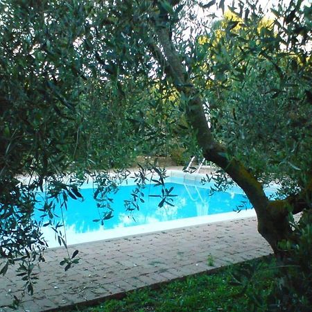Tenuta Santa Maria Villa Campagnatico Exteriör bild