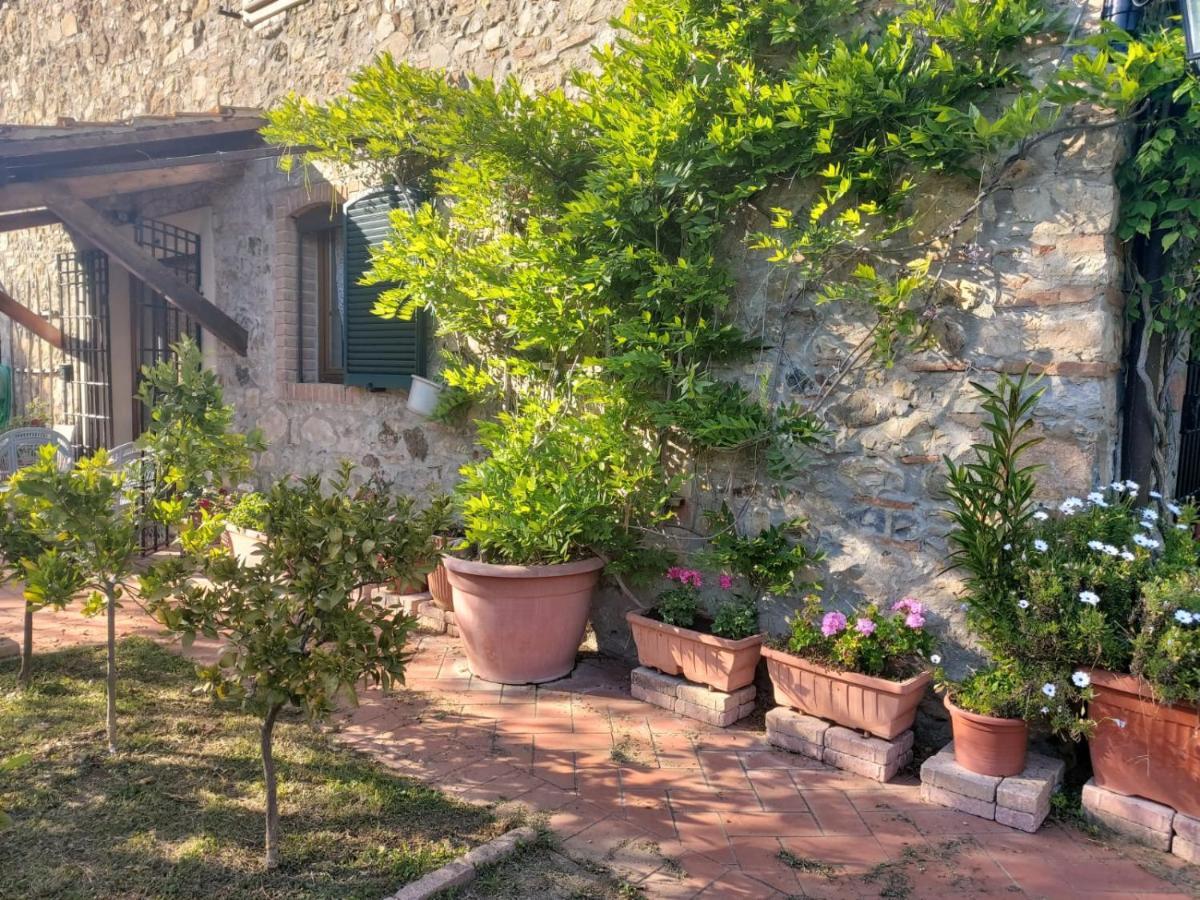 Tenuta Santa Maria Villa Campagnatico Exteriör bild
