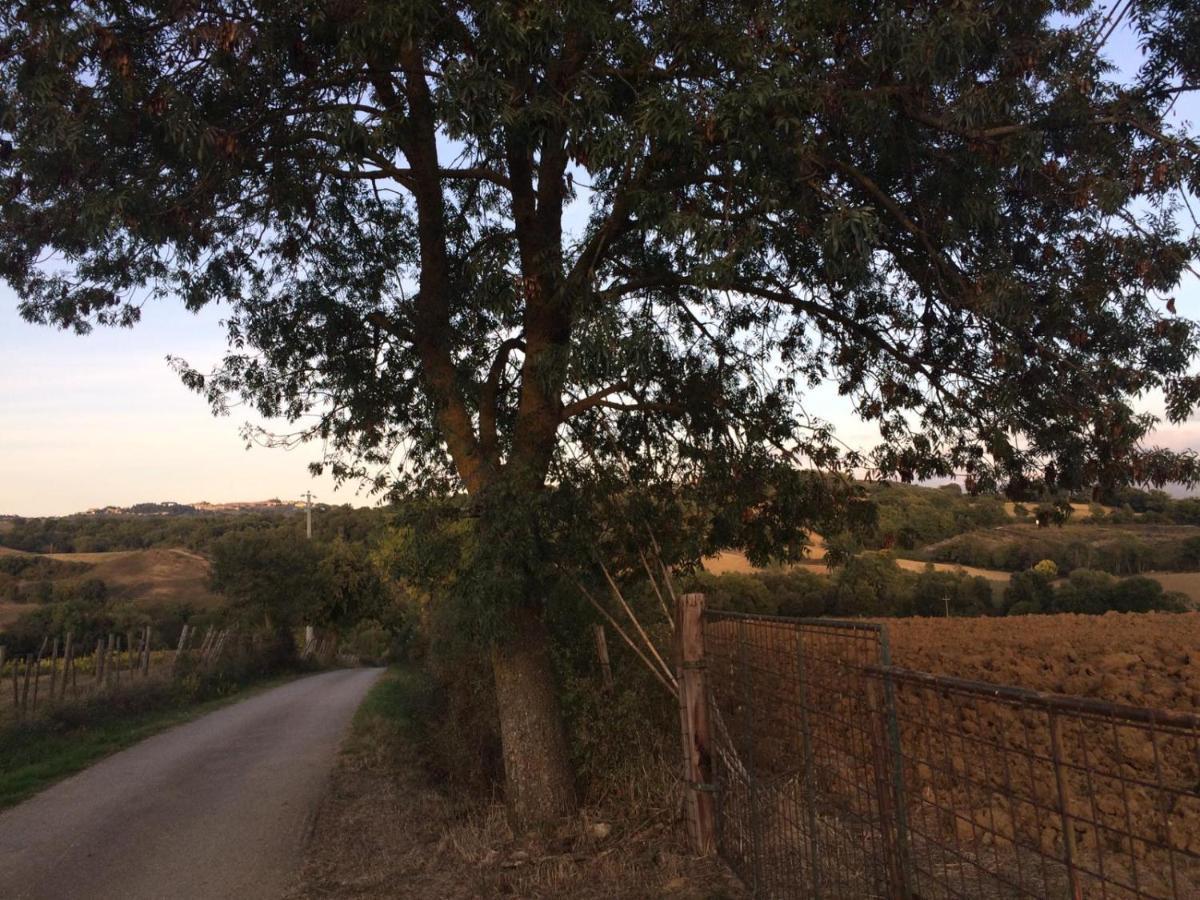 Tenuta Santa Maria Villa Campagnatico Exteriör bild