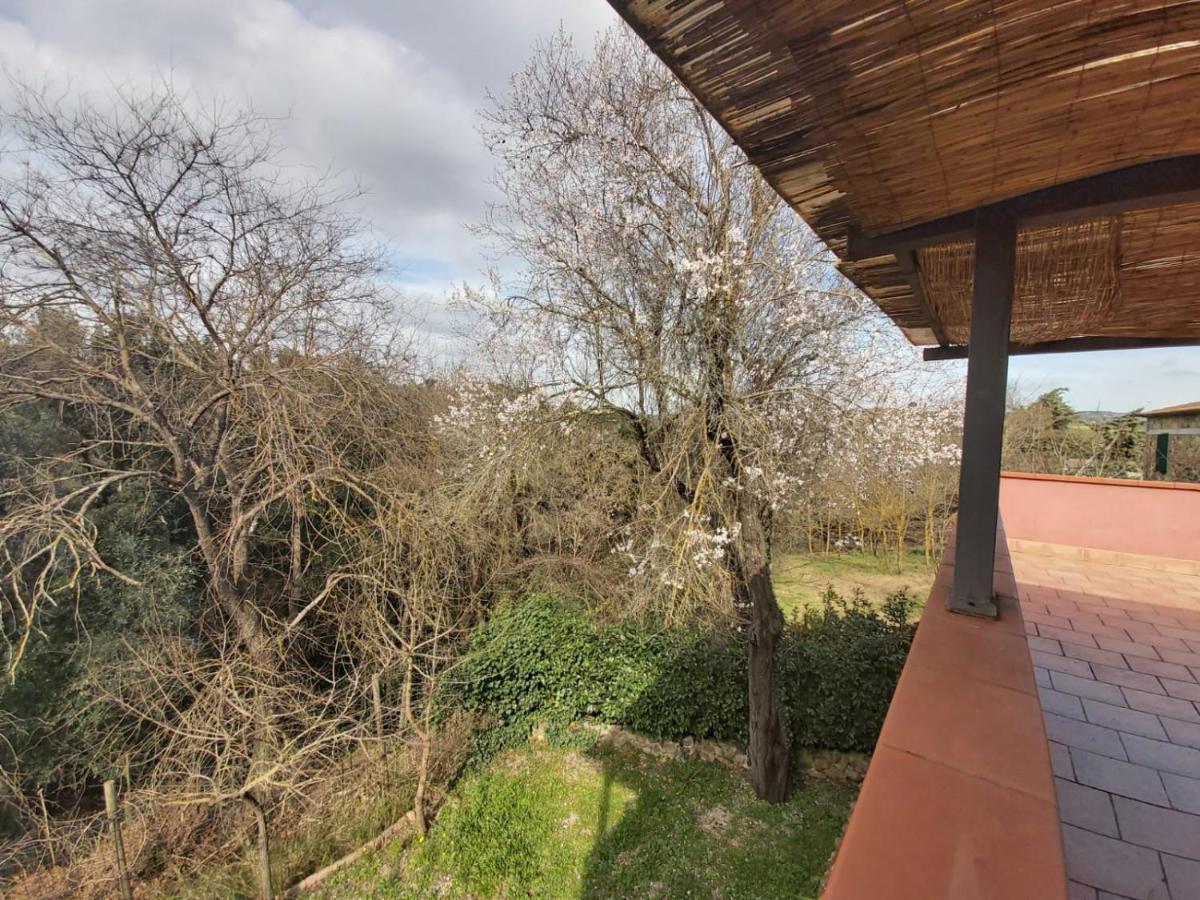 Tenuta Santa Maria Villa Campagnatico Exteriör bild