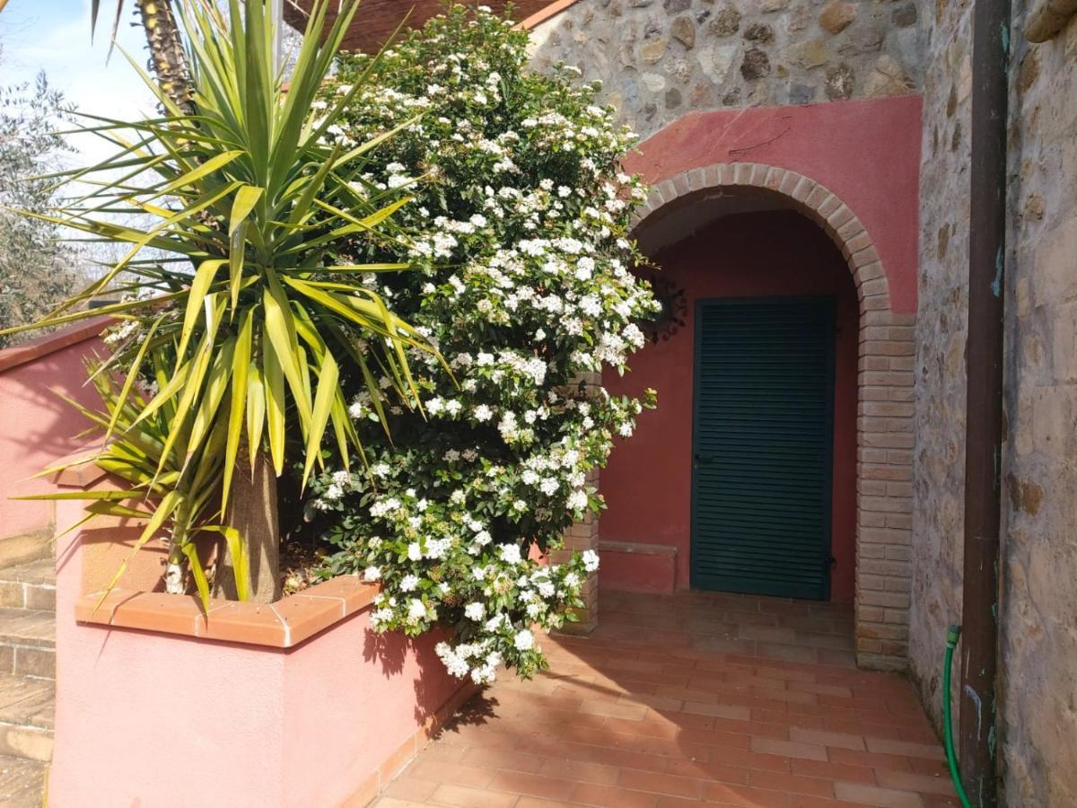 Tenuta Santa Maria Villa Campagnatico Exteriör bild