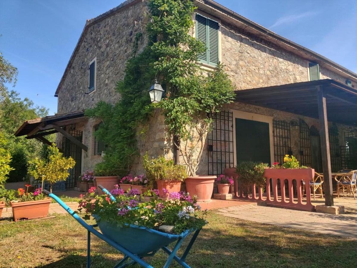 Tenuta Santa Maria Villa Campagnatico Exteriör bild