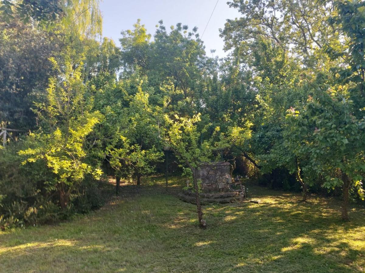 Tenuta Santa Maria Villa Campagnatico Exteriör bild