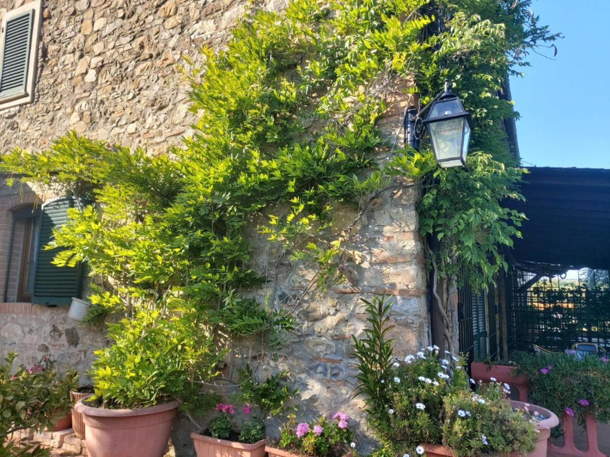 Tenuta Santa Maria Villa Campagnatico Exteriör bild
