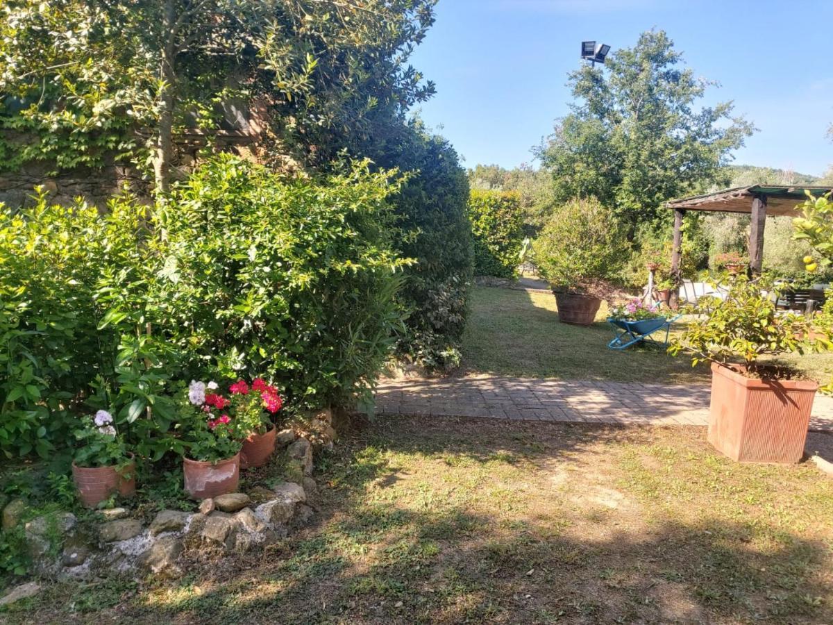 Tenuta Santa Maria Villa Campagnatico Exteriör bild