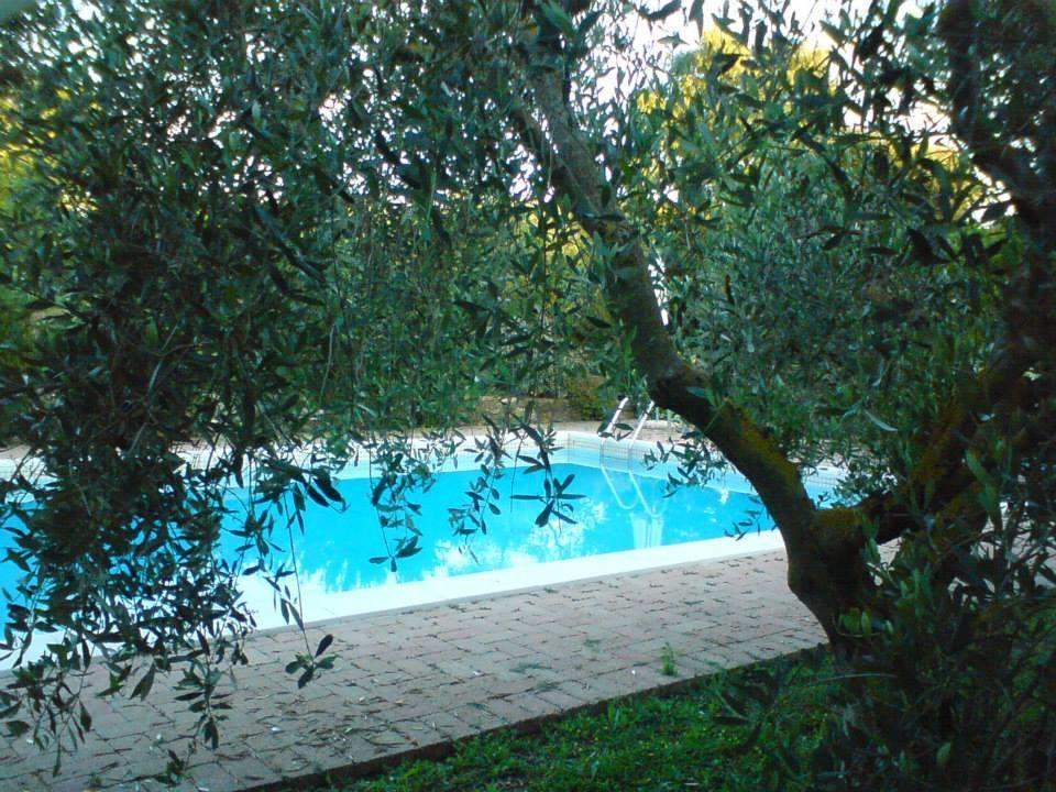 Tenuta Santa Maria Villa Campagnatico Exteriör bild